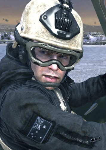 Rook