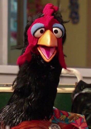 Rooster