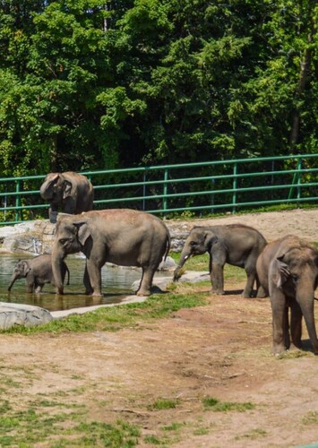 Rosamond Gifford Zoo