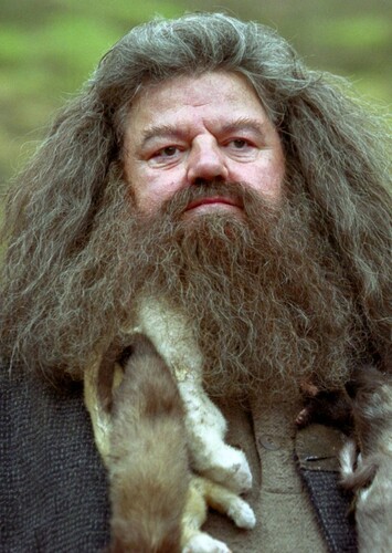 Rubeus Hagrid