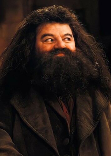 Rubeus Hagrid