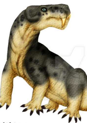 Rubidgina