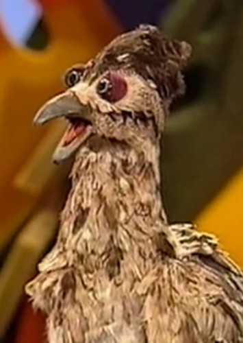 Rudy the Roadrunner
