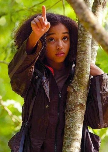 Rue