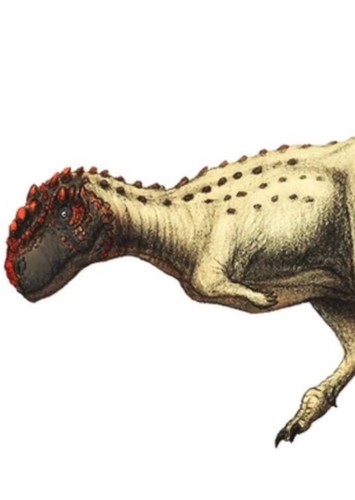 Rugops