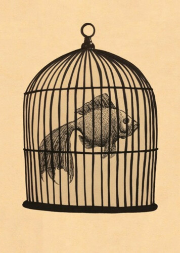 Rule #1 - Magic - Fish in a Birdcage