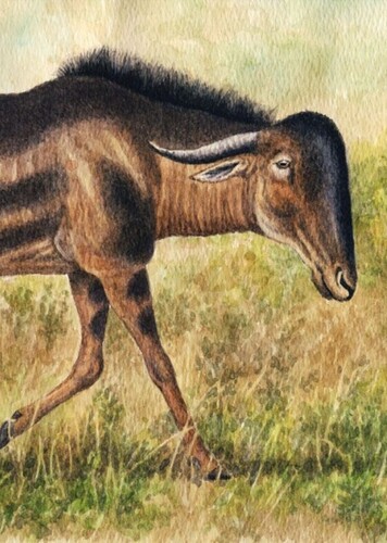 Rusingoryx