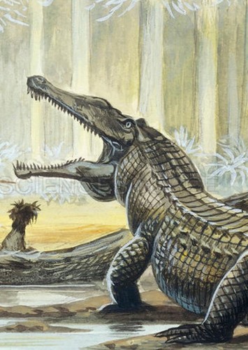 Rutiodon