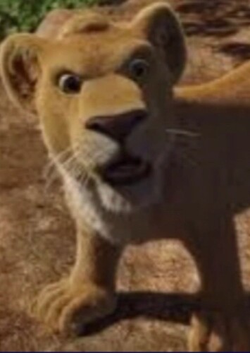 Ryan The-Lion Cub