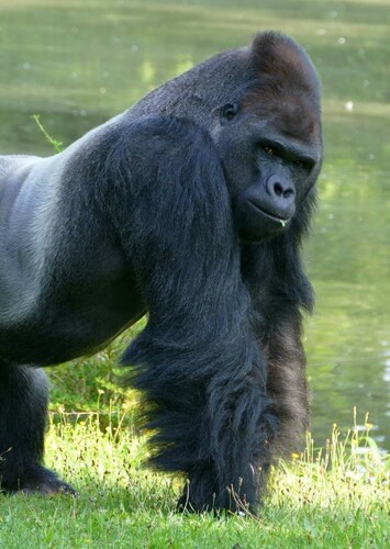 Saarbrücken Zoo