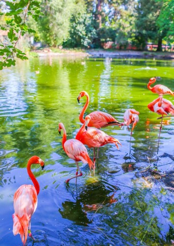 Sacramento Zoo