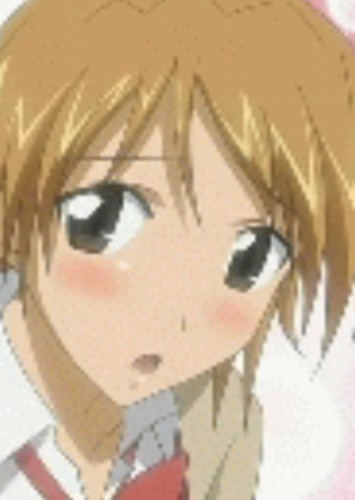Saeko
