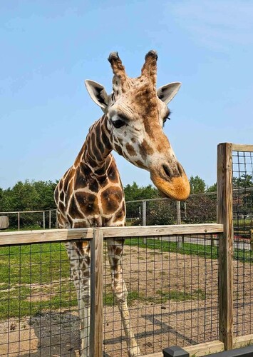 Safari North Wildlife Park