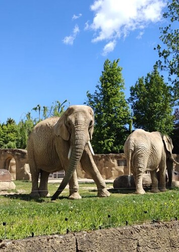 Safari Park Dvur Králové