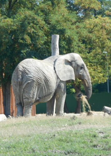 Safari Ravenna