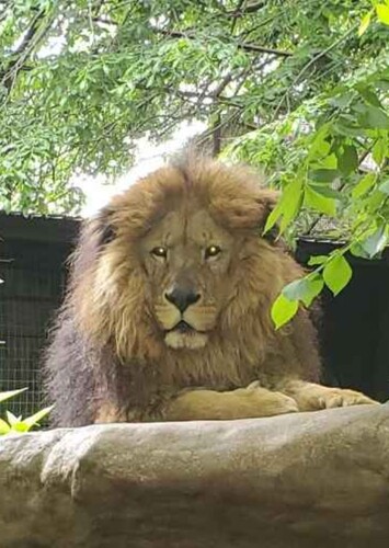 Safari Zoological Park