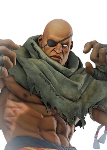 Sagat in Video Game Characters