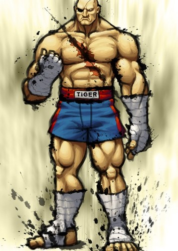 Sagat