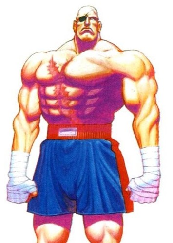 Sagat