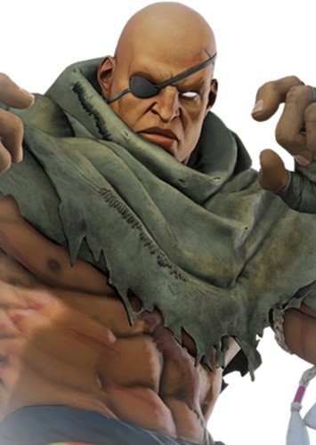 Sagat