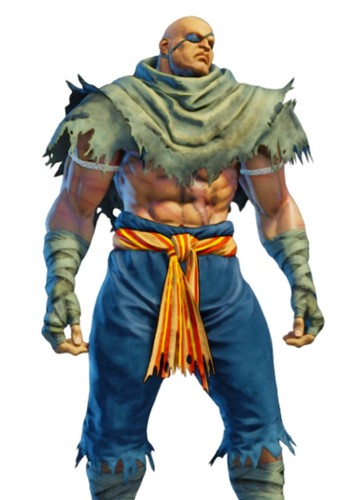 Sagat