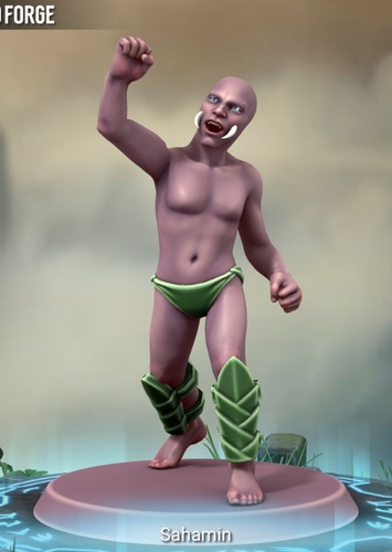 Sahamin