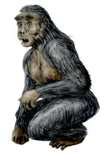 Sahelanthropus