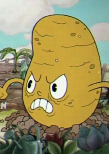 Sal Spudder