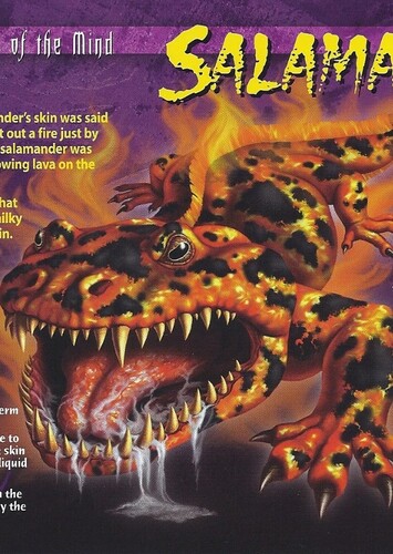 Salamander