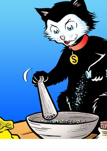 Salem Saberhagen