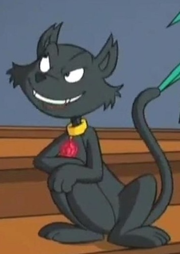 Salem the cat