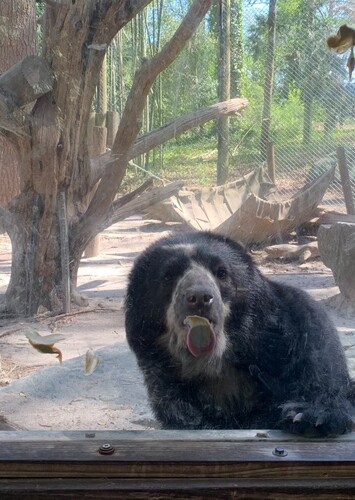 Salisbury Zoological Park