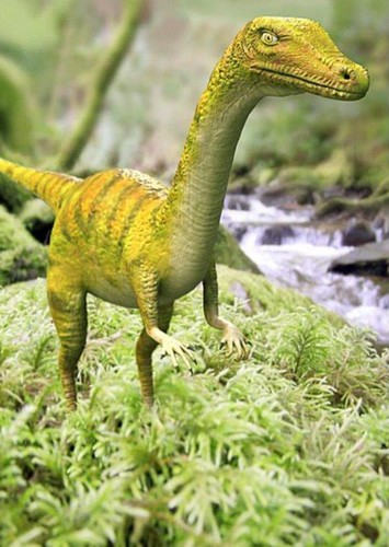 Saltopus
