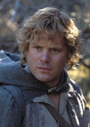 Samwise Gamgee / Sam