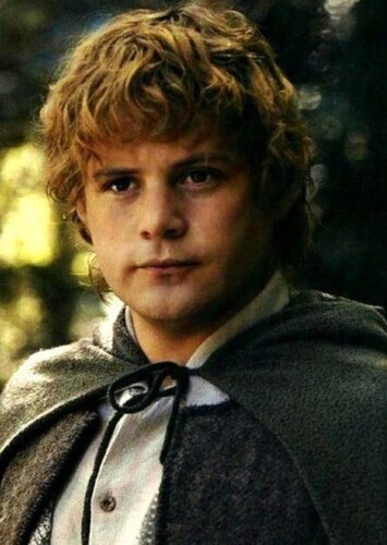 Samwise Gamgee