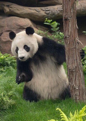 San Diego Zoo