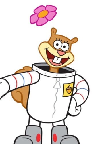 Sandy Cheeks