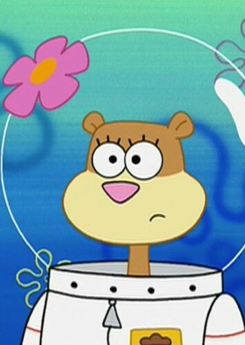 Sandy Cheeks