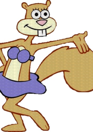 Sandy cheeks na początku
