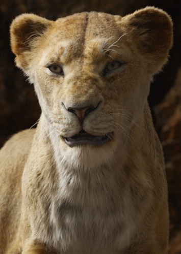 Sara the Lioness