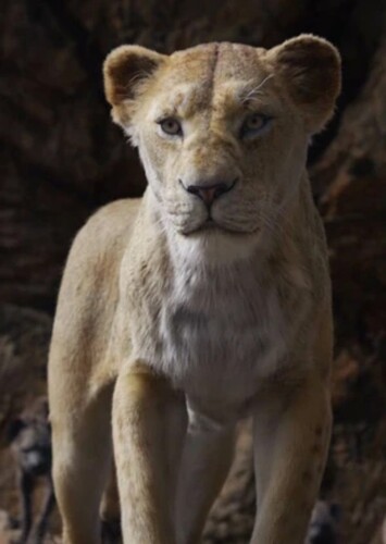 Sarabi (2019 film)