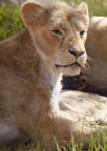 Sarafina
