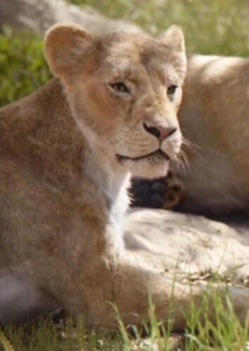 Sarafina