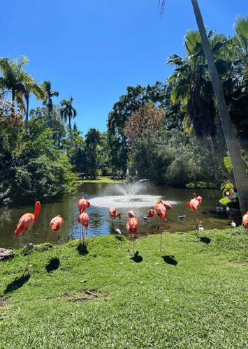 Sarasota Jungle Gardens
