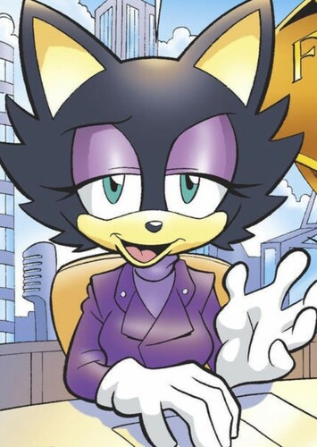 Sasha Cat