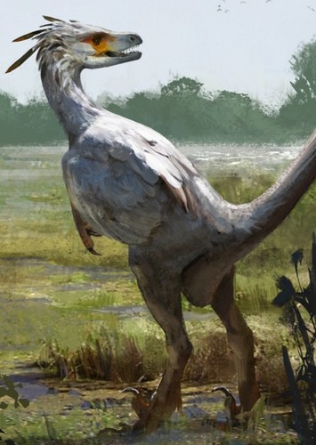 Saurornitholestes