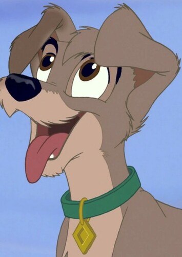 Scamp