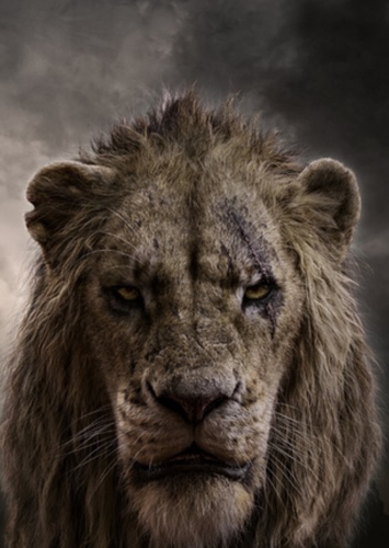 Scar