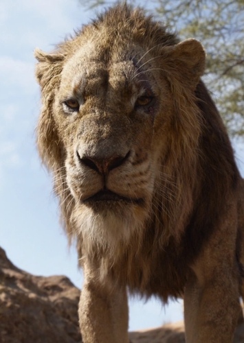 Scar