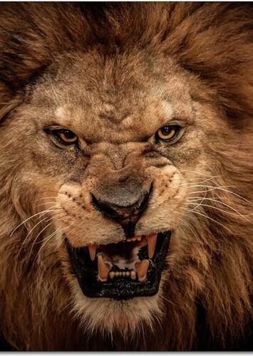Scar